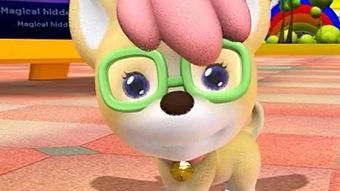 迪比狗,萌宠界的明星与我们的生活启示