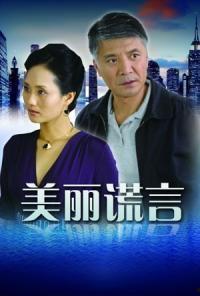 美丽谎言,揭开真相背后的故事