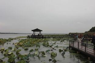 莲花岛,自然仙境与历史遗迹的交融之地