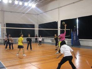 花样排球,花样排球的魅力与技巧解析