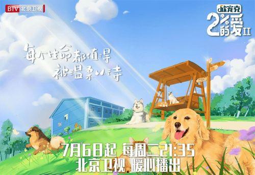 百分之二的爱 第二季,第二季，情感纠葛再掀波澜