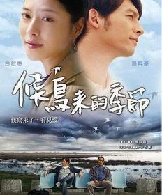 候鸟停在谎言季,候鸟停歇在谎言季的宁静角落